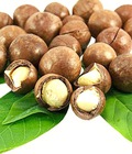 Hình ảnh: Quả Mắc CA Macadamia