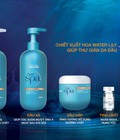 Hình ảnh: Dầu gội Loreal Professionnel