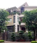 Hình ảnh: Cho thuê biệt thự bắc linh đàm 250m2 giá chỉ với 22 triệu/1 tháng