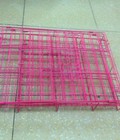 Hình ảnh: Chuồng xếp cho chó mèo