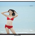 Hình ảnh: Tổng kho phân phối tivi TCL lớn nhất miền Bắc: 32D2780, 32D2720, 48D2780, 40S4700, 40S4690, 55S4700, 50E5800, 58E6800...