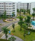 Hình ảnh: Bán chung cư Thanh Hà Cienco 5 đúng giá chủ đầu tư