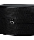 Hình ảnh: Loa karaoke CAF 850 bass 25 và 4 trep cho tiếng ca mượt mà, trung thực