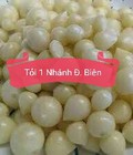 Hình ảnh: Tỏi một nhánh Điện Biên