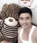 Hình ảnh: Gấu bông teddy