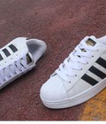 Hình ảnh: Giày Adidas nữ nhiều màu