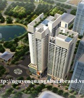Hình ảnh: 5 lý do lên chọn N03 T3, T4 Horizon Tower Ngoại Giao Đoàn