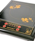Hình ảnh: Mua bếp điện quang panasonic giảm giá ở đâu, giá bao nhiêu tại TPHCM