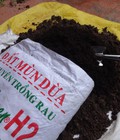 Hình ảnh: Cung cấp đất mùn dừa trồng rau H2 20dm3
