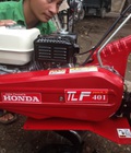 Hình ảnh: Bán máy cày xới đất mini,máy xới cỏ Honda TLF401 giá rẻ nhất