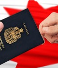 Hình ảnh: Du học nghề Nanny Bảo mẫu tại CANADA