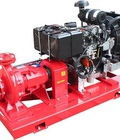 Hình ảnh: Nhà phân phối máy bơm chữa cháy, máy bơm pccc, máy bơm cứu hỏa diesel giá tốt nhất