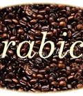 Hình ảnh: Cà phê Arabica Số 3 cà phê của sự quý phái