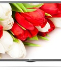 Hình ảnh: Phân phối tại kho Tivi Led LG 32LF510 32 inch HD với giá rẻ