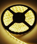 Hình ảnh: Led dây