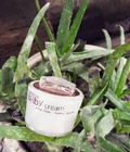 Hình ảnh: Kem Face Baby cream