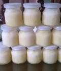 Hình ảnh: Phân phối sữa ong chúa tươi nguyên chất giá tốt