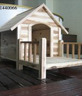 Hình ảnh: chồng chó
