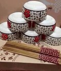 Hình ảnh: Bộ bát xuất nhật có kèm đũa