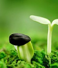 Hình ảnh: Hồ sơ lập đề án bảo vệ môi trường cho cơ sở tái chế