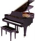 Hình ảnh: Piano Hồng Nhân