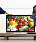 Hình ảnh: Chuyên: Thu mua Tivi LCD, LED, 3D, PLASMA cũ giá cao Tp Hà Nội
