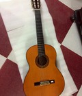Hình ảnh: Bán đàn guitar Nhật các loại giá rẻ