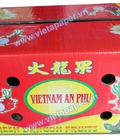 Hình ảnh: Trái cây xuất khẩu