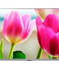 Hình ảnh: Giá dự án: Tivi led LG 42LF550, 42 inch, Full HD chính hãng, giá rẻ