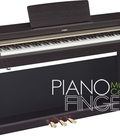 Hình ảnh: Piano điện Yamaha YDP 162