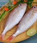 Hình ảnh: Chuyên cung cấp hải sản sạch cho hệ thống trường học