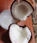Hình ảnh: Dừa sáp giảm giá chỉ 140k/trái
