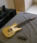 Hình ảnh: Tele Squier by fender 20th anniversary