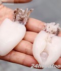 Hình ảnh: Chuyên cung cấp mực nang Phan Thiết