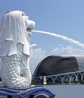 Hình ảnh: Tour du lịch singapore 4 ngày 3 đêm