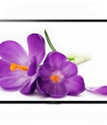 Hình ảnh: Xả hàng giá sốc TV Led Sony 65X9300C 65 Inch, 4K, 3D