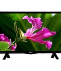Hình ảnh: Giá siêu rẻ Tivi Led LG 24LF450D 24 Inch