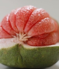 Hình ảnh: Bán Buôn Cam Xoàn, đặc sản Đồng Tháp, Bưởi Da Xanh, đặc sản Bến Tre, Giá rẻ nhất Hà nội