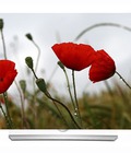 Hình ảnh: TV thế hệ mới TV OLED LG 65EG965T 65EG965 3D 4K màn hình cong giá bất ngờ