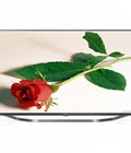 Hình ảnh: Hàng mới về Tivi led LG 70UF770T 70 inch, UltraHD 4K, Internet, TruMotion 200Hz