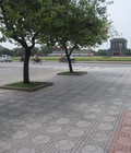Hình ảnh: Gạch lát Terrazzo