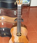 Hình ảnh: Bán guitar Matsouka M 40 Nhật