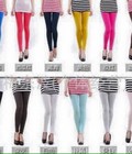 Hình ảnh: Bán buôn bán lẻ quần legging thun cotton HM