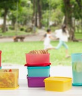 Hình ảnh: Bộ hộp bảo quản thực phẩm SMALL SQUARE ROUND Tupperware