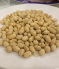 Hình ảnh: Bán đậu nành sấy chất lượng cao, giá tốt