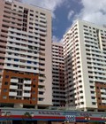 Hình ảnh: Căn hộ Screc Tower đường Trường Sa Q.3 cho thuê