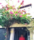 Hình ảnh: Cần bán gấp nhà 1 lầu đúc kiên cố hẽm 160 Nguyễn Văn Quỳ , Quận 7 Hẽm 5m . giá 1.55 Tỷ