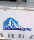 Hình ảnh: Bán tủ đông cũ Darling 400 lít, mới 100%,thanh lý công ty, bảo hành 12 tháng