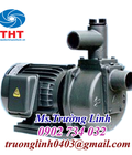 Hình ảnh: Máy bơm tự hút đầu gang NTP HSP250-1.75 26 1HP
