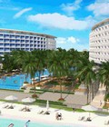 Hình ảnh: Condotel Nha Trang tráng lệ Căn hộ khách sạn